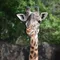 Image by: www.KincannonPhotography.com